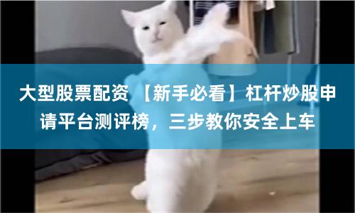 大型股票配资 【新手必看】杠杆炒股申请平台测评榜，三步教你安全上车